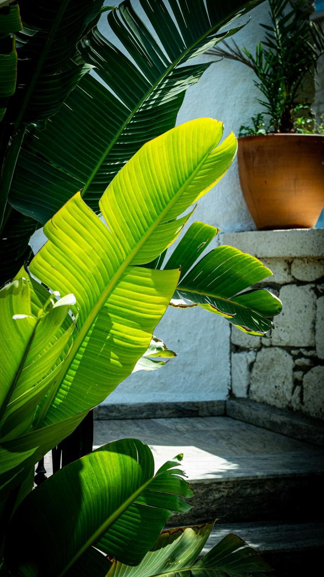 Pom Alacati Boutique Otel Çeşme Exterior foto